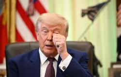'Embryonic spines': Trump faces rising dissent from Republicans ahead of midterm elections
