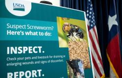 US reports second case of dangerous livestock pest