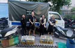 Vietnam police rescue 400 cats from cat-meat theft ring as dozens reunited with owners