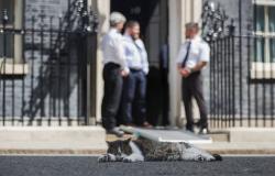 Is Keir Starmer resigning? How Andy Burnham could be UK’s seventh PM in 10 years