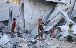 UN investigators: Israel ‘deliberately targeting’ Palestinian children as part of Gaza ‘genocide’