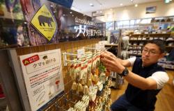 Suspected bear mauling adds to rising death toll in northern Japan