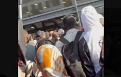 Paris crowds storm Lidl stores as bargain air conditioners spark queues, scuffles and police intervention