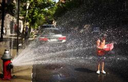 New Yorkers crack hydrants to cool off as 43°C heat index melts city streets