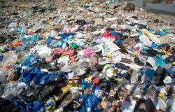 Nine die after rain-soaked garbage heap collapses at India waste plant