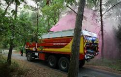 Wildfires ravage over 1,300 hectares of historic forest near Paris