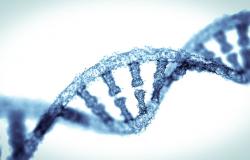 Chinese university investigates six‑year‑old’s death allegedly tied to experimental gene‑editing therapy