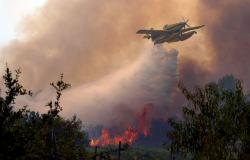 France and Spain battle the worst wildfires in their histories as heatwave fuels crisis
