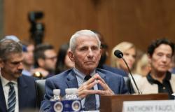 Former top US Covid expert Fauci invokes Fifth Amendment in fiery Senate hearing