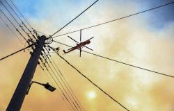 Firefighters in Greece battle to save popular coastal resort near Athens as raging winds hinder response
