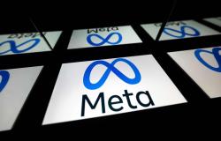 ‘Gross negligence’: US judge rules Meta hid evidence in Australian tycoon fake ad case