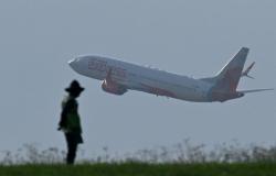 Air India pilot reportedly fails second drug test after mid-air plunge incident