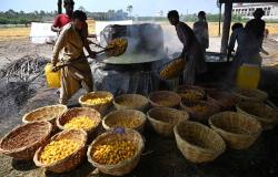 ‘Unbearable’ heat makes Pakistan’s date harvest a gruelling battle for workers