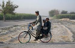 One million children in Afghanistan risk dying from 'severe malnutrition', says UN