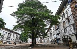 Ivory Coast housing crunch leaves Abidjan home-hunters struggling to keep up