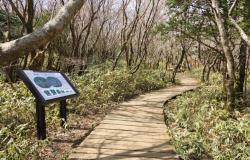 Jeju missing persons scandal: Police say South Korea cop closed missing persons cases to avoid work