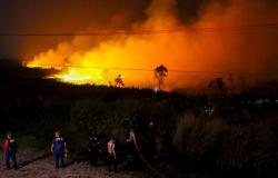 Indonesia temporarily closes hiking trails in nine national parks over wildfire risk