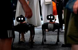 Nearly 130 countries agree first definition of ‘killer robots’