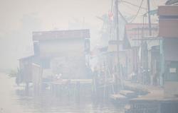 Prabowo orders tougher firefighting response as 72,000ha burn across Indonesia