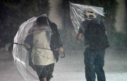 Typhoon Dujuan leaves four dead, 22 injured in Japan, 45,000 homes without power