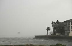 ‘Things are flying really fast’: Hurricane Isaias makes landfall in Florida, knocking out power to thousands
