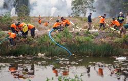 Indonesia’s underground peat fires persist despite rain as hotspots decline