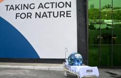 Deal still eludes nations on final day of UN nature summit