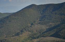 Armenia and Azerbaijan talk peace, but in a border forest, the wounds of war are still raw