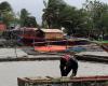 Typhoon Kammuri: one dead, thousands displaced as storm hits Philippines