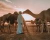 Sharjah - Emirati TV anchor lives the Bedouin life with his camel herd