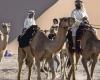 Dubai - Two 5-year-old Emiratis among 11 camel trekkers