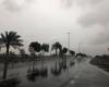 VIDEO: Heavy rain cools down temperature across UAE