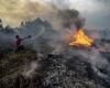World Bank: Indonesia forest fires cost $5.2bn in economic losses