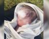 Newborn baby found abandoned in Al Ain park’s washroom