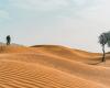 Mleiha offers survival tips to desert adventure buffs