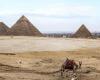 Tourist numbers fall, say guides as Egypt ups coronavirus planning