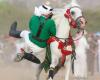 Horsemen display breathtaking skills in Taif show
