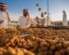 Saudi Arabia second largest producer of dates with 17% of global share