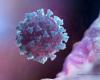 Coronavirus could cause brain damage, scientists warn