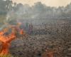 Indonesia's push to cut red tape sparks forest fire concerns