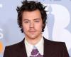 Bollywood News - Harry Styles set to star in...