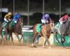 The Saudi Equestrian Cup is the first in the world