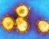 A study shows that the Corona virus has ten types of...