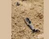 A Houthi military projectile targets a border village in southern Saudi...