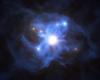 The discovery of a tangled network of galaxies in a supermassive...