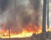 Israel is burning … fires are engulfing Tel Aviv, and thousands...