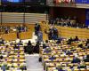 The European Parliament recommends reducing representation in the G20 summit in...