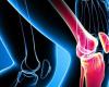 What does the proportion of rheumatism 400 indicate? What is...