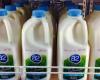 A2 Milk (ASX: A2M) share price looks good this week //...