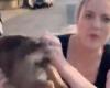 ‘Karen’ hurls a puppy at a black man during a racist...